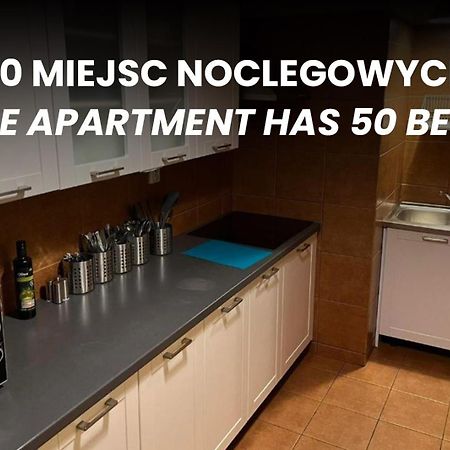 קרקוב 50 People Bis Apartment מראה חיצוני תמונה